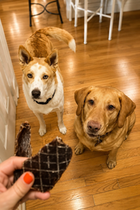 Kangaroo Jerky