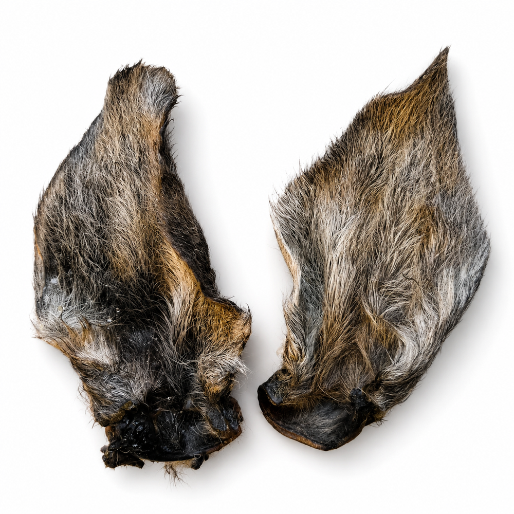 Kangaroo Ears