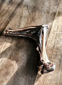 Kangaroo Boomerang