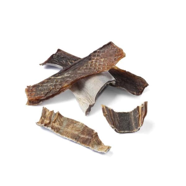Shark Skin Bites