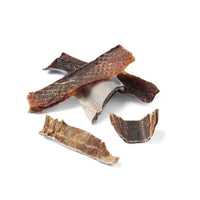 Shark Skin Bites
