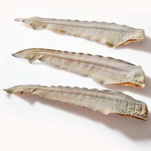Shark Tails