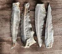 Shark Tails